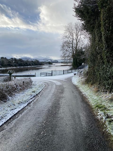 Day, Natural landscape, Winter