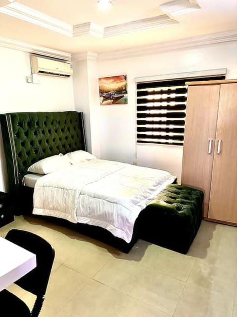 Luxurious and Spacious Apartment in Wuye Condo in Abuja