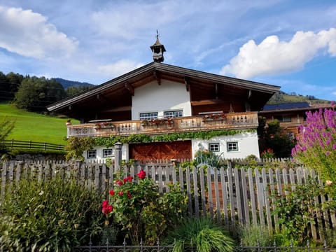 Property building, Natural landscape, Garden