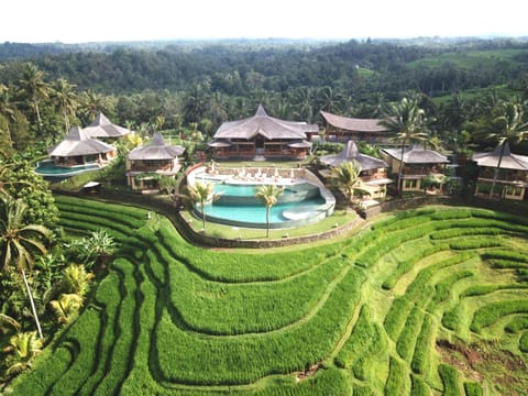 Natural landscape, Bird's eye view, Swimming pool