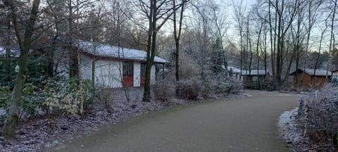 Ferienhaus Uelsen House in Overijssel (province)