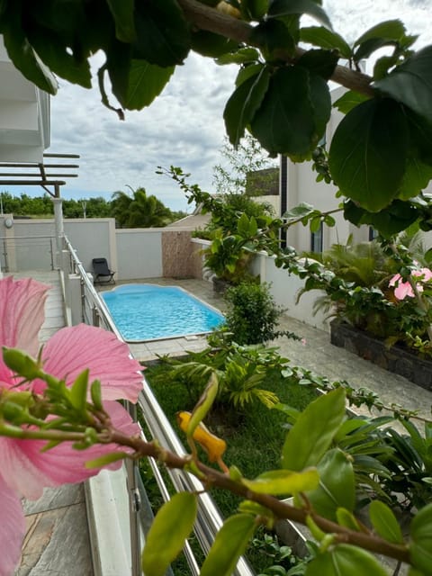 Garden, Garden view, Pool view, Swimming pool