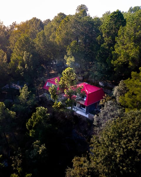 Pinewood Nirvana Jungle Resort Shoghi Resort in Shimla