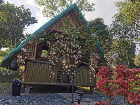 Bamboo Huts Farm Stay at Humming Strawberry Farm Terrain de camping /
station de camping-car in Cordillera Administrative Region