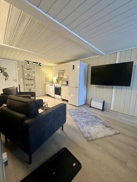 studio apartment with parking Condo in Lillehammer