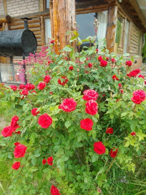 CABAÑAS EL PALENQUE House in Esquel