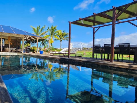 Day, Pool view, Swimming pool, sunbed