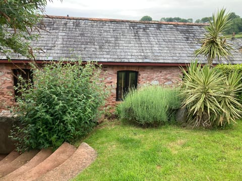 Property building, Garden, Garden view