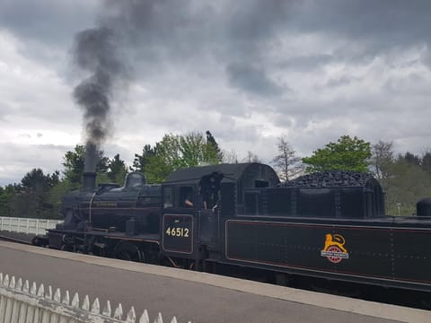 Neighbourhood, Activities, Animals, Landmark view