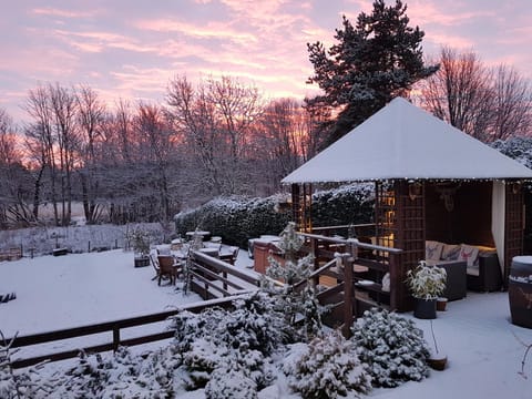 Patio, Winter