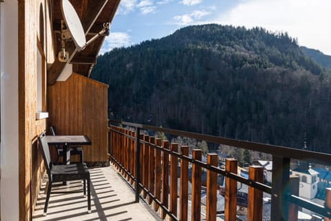 Balcony/Terrace, Mountain view