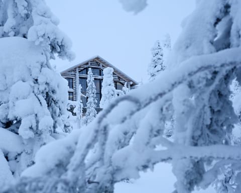 Property building, Day, Natural landscape, Winter