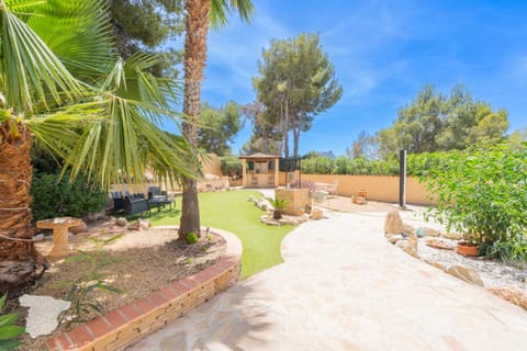 Patio, Garden, Garden view