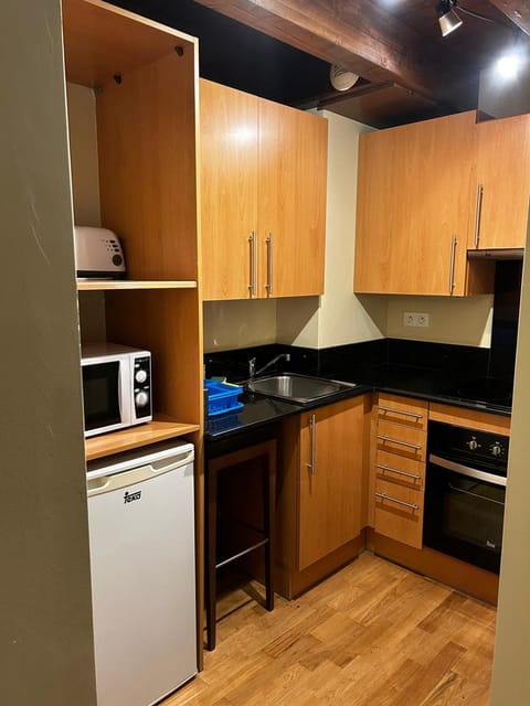 Kitchen or kitchenette, minibar, pet friendly, stove, toaster