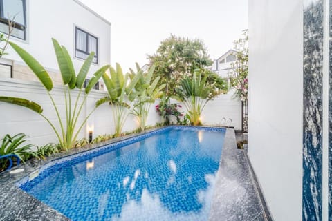 Day, Pool view, Swimming pool