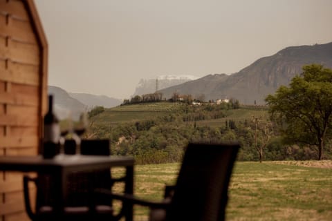 Gutshof Ebner Apartment in Trentino-South Tyrol