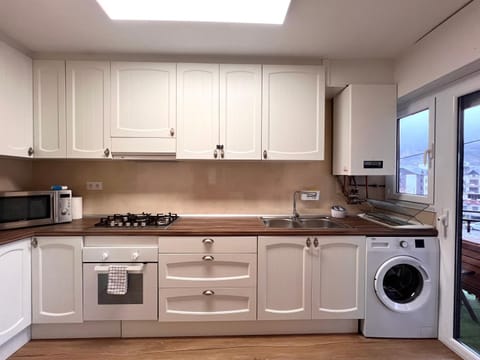 Kitchen or kitchenette, dishwasher, minibar, pet friendly, stove, washing machine