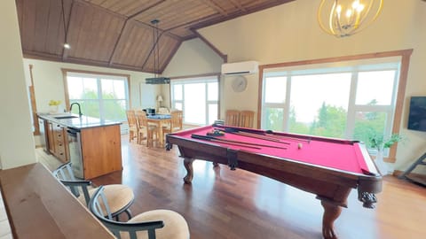 Billiard, Game Room