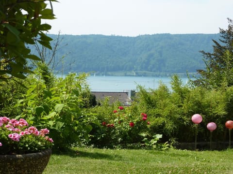 Natural landscape, Garden, Garden view, Lake view