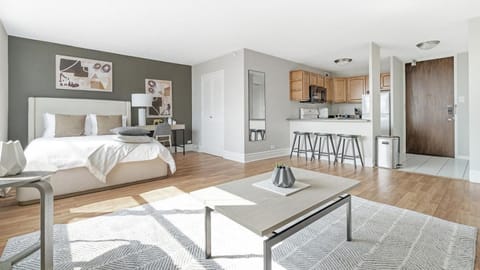 Landing Modern Apartment with Amazing Amenities (ID1222X746) Condo in Evanston