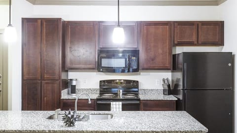 Landing Modern Apartment with Amazing Amenities (ID3128X66) Apartamento in Round Rock