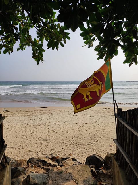 Natural landscape, Beach, Sea view