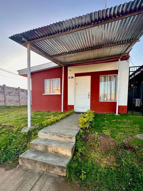 Day, Garden, Garden view