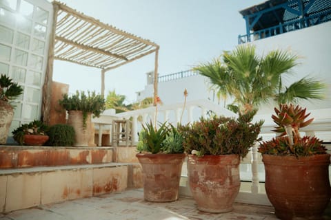 Riad Baladin Riad in Essaouira