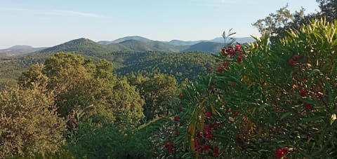 Le Bungalow Bleu Campground/ 
RV Resort in Vidauban