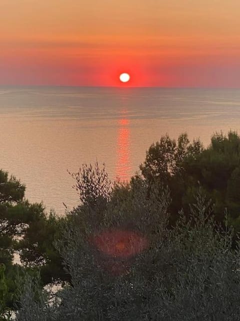 Natural landscape, Sea view, Sunset