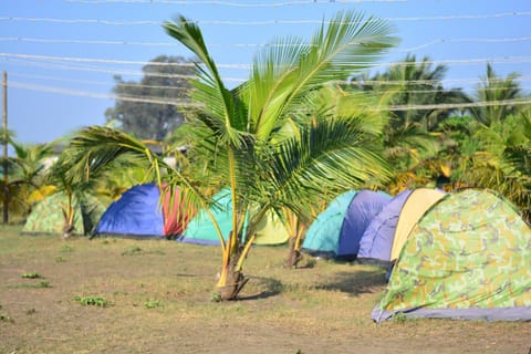 Sea View ASHU Beach Camp Campground/ 
RV Resort in Alibag