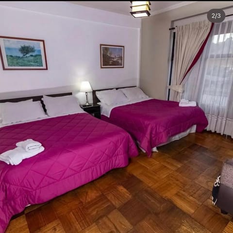 Oriente Hostal Bed and Breakfast in Talca