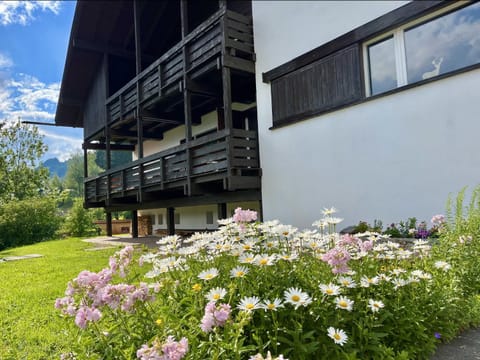 Balcony/Terrace, Garden view