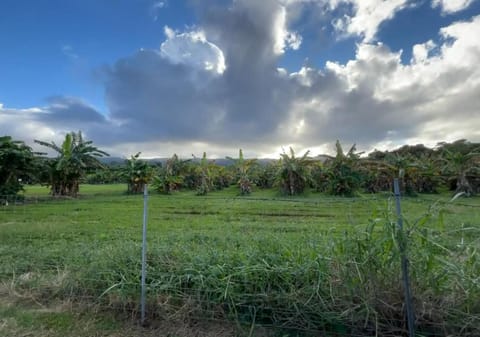 North Shore Glamping / Camping Laie, Oahu, Hawaii Luxury tent in Laie