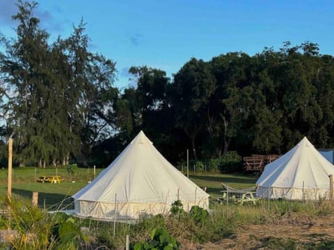 North Shore Glamping / Camping Laie, Oahu, Hawaii Luxury tent in Laie