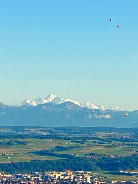 Natural landscape, View (from property/room), Lake view, Mountain view, Mountain view