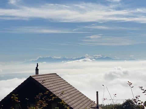 Tévenon Vue Panoramique Alpes-Lac Apartment in Neuchâtel, Switzerland