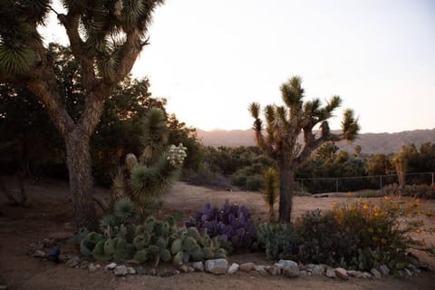 Casa De Los Altos Desert Garden Dog Friendly House in Yucca Valley