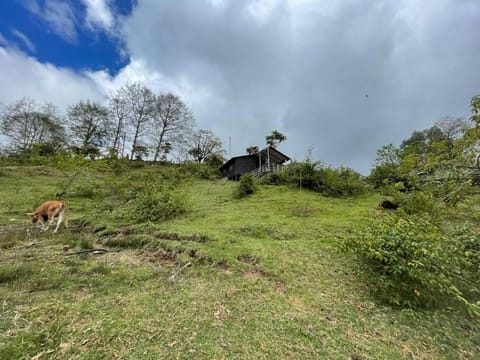 Cabaña Rural de Montaña en La Cima de Dota Chalet in Cartago Province, Costa Rica