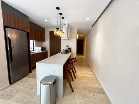 Kitchen or kitchenette, minibar, stove