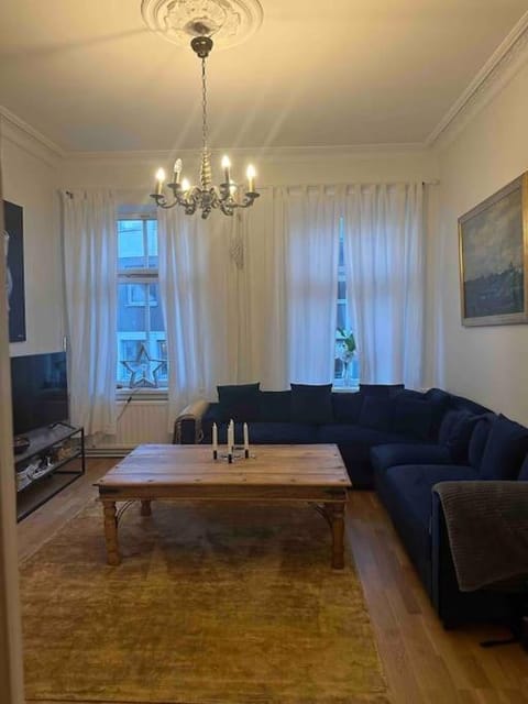 Charming huge apartment with south sunny balcony Apartment in Malmo