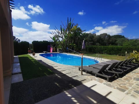 Garden, Pool view, Swimming pool, sunbed