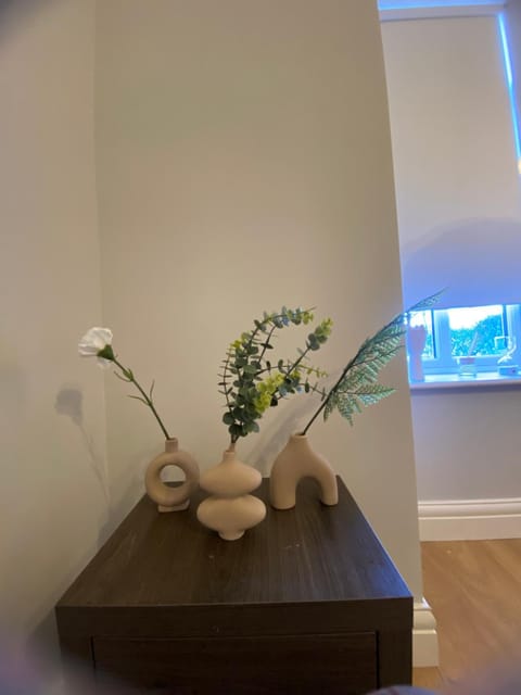 Extra large Room in new house at Citywest Vacation rental in Dublin