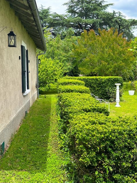 Property building, Garden view