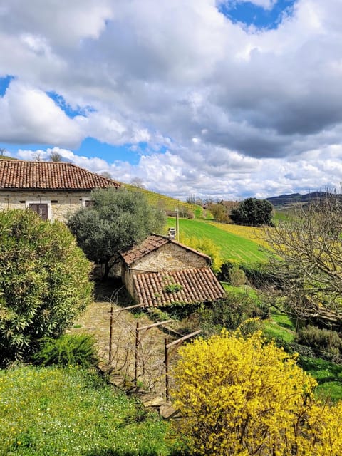 Property building, Spring, Garden, Garden view
