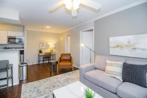 Landing Modern Apartment with Amazing Amenities (ID9584) Condo in North Druid Hills