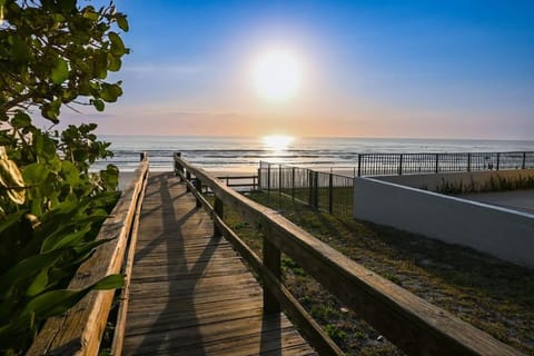 Beachfront Stunning View at NSB close to Flagler Apartment in New Smyrna Beach