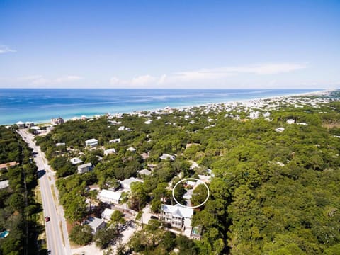 Cottage 62 Maison in Seagrove Beach