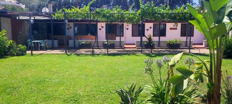 Property building, Day, Garden view