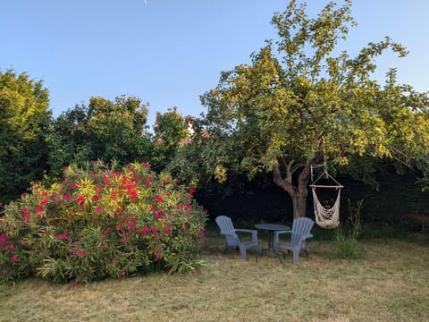 Garden, Garden view